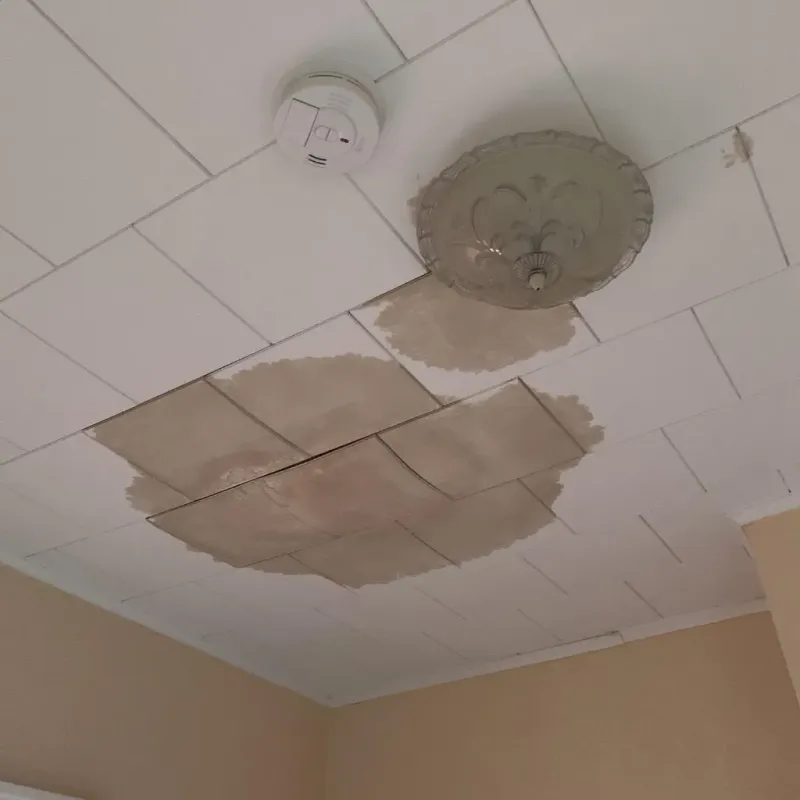 Ceiling Water Damage Repair in Kodiak Station, AK