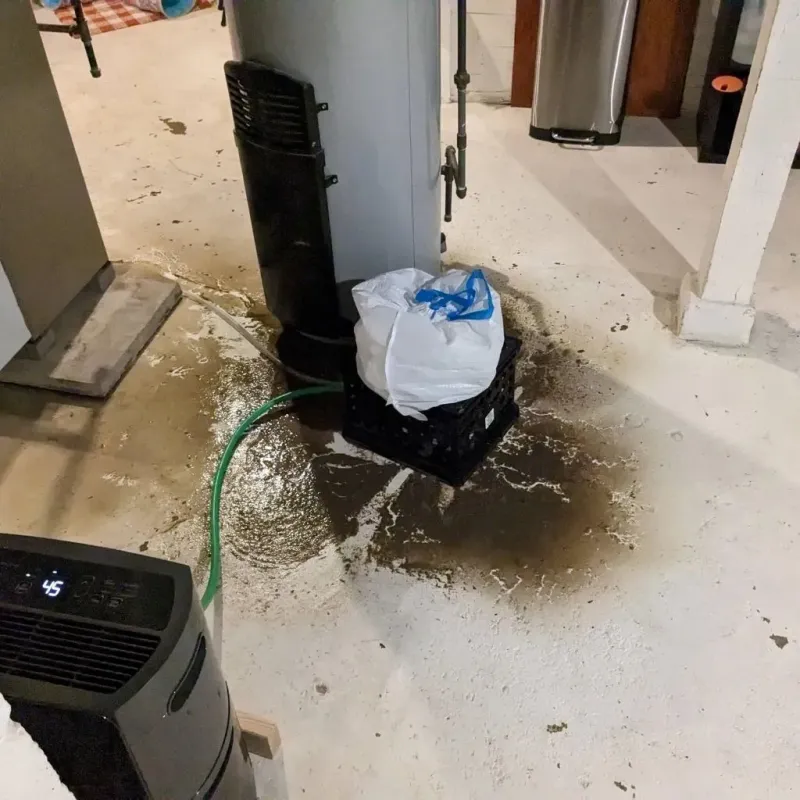 Sewage Backup Cleanup Service in Kodiak Station, AK